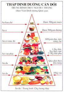 Giải bài tập SGK Khoa học 4