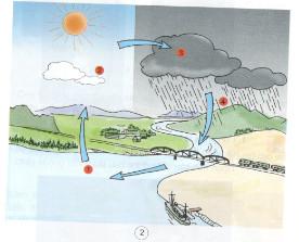 Giải bài tập SGK Khoa học 4