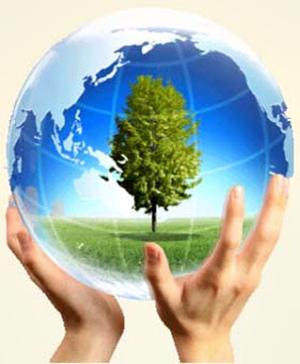 Giải bài tập SGK Khoa học 4