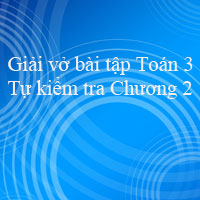 Giải vở bài tập Toán 3: Tự kiểm tra Chương 2