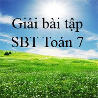 Giải bài tập SBT Toán 7 bài 12: Số thực