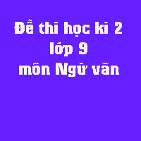 Đề kiểm tra học kì 2 lớp 9 môn Ngữ văn Phòng GD&ĐT Phù Cát năm học 2017 - 2018