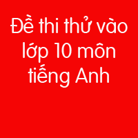 Đề ôn thi vào lớp 10 môn tiếng Anh năm học 2018 - 2019 có đáp án (Đề luyện 19)