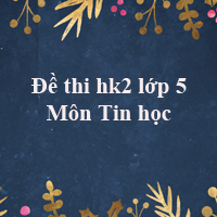 Đề thi học kì 2 môn Tin học lớp 5 trường Tiểu học Bao La, Hòa Bình năm 2017 - 2018