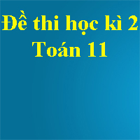 Đề thi học kì 2 lớp 11 môn Toán năm 2018 trường THPT Đức Thọ - Hà Tĩnh