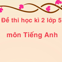 Đề thi học kì 2 lớp 5 môn Tiếng Anh số 2
