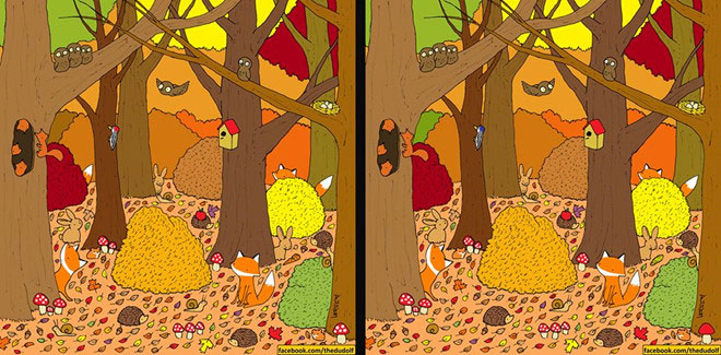 Đố vui hại não