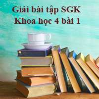 Khoa học lớp 4 bài 1: Con người cần gì để sống?