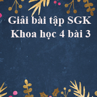 Khoa học lớp 4 bài 3: Trao đổi chất ở người (tiếp theo)