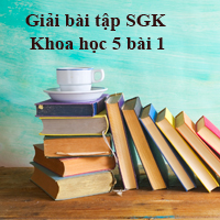 Khoa học lớp 5 bài 1: Sự sinh sản