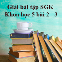 Khoa học lớp 5 bài 2, 3: Nam hay nữ