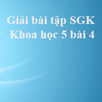 Khoa học lớp 5 bài 4: Cơ thể chúng ta được hình thành như thế nào?