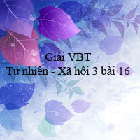 Giải vở bài tập môn Tự nhiên xã hội 3 bài 16: Vệ sinh thần kinh (Tiếp theo)