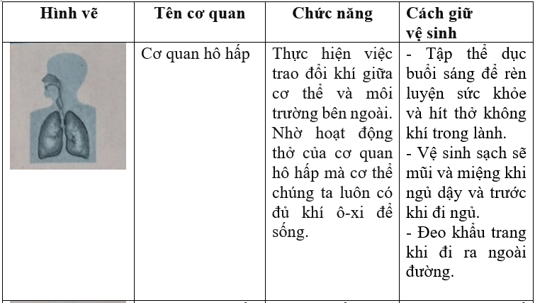 Giải vở bài tập môn Tự nhiên xã hội 3 bài 17-18: Ôn tập: Con người và sức khỏe