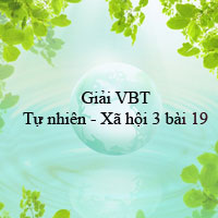 Giải vở bài tập môn Tự nhiên xã hội 3 bài 19: Các thế hệ trong một gia đình