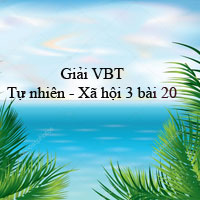 Giải vở bài tập môn Tự nhiên xã hội 3 bài 20: Họ nội, họ ngoại