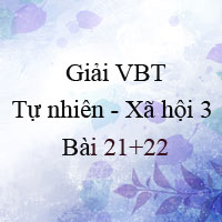 Giải vở bài tập môn Tự nhiên xã hội 3 bài 21-22: Thực hành: Phân tích và vẽ sơ đồ mối quan hệ họ hàng