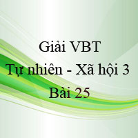Giải vở bài tập môn Tự nhiên xã hội 3 bài 25: Một số hoạt động ở trường (Tiếp theo)