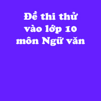 Đề thi thử vào lớp 10 môn Ngữ văn Sở GD&ĐT tỉnh Ninh Bình năm học 2017 - 2018