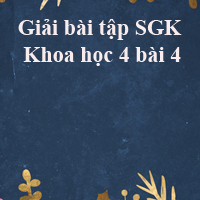 Khoa học lớp 4 bài 4: Các chất dinh dưỡng có trong thức ăn. Vai trò của chất bột đường
