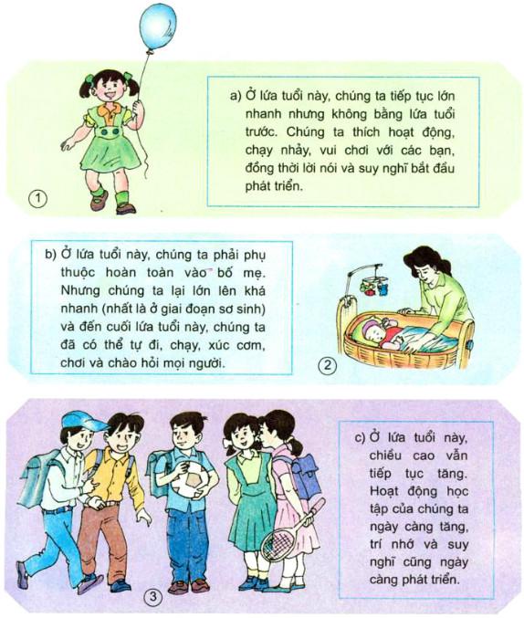 Giải SGK Khoa học lơp 5 bài 6