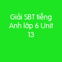 Giải sách bài tập tiếng Anh lớp 6 Unit 13: Activities and The Seasons