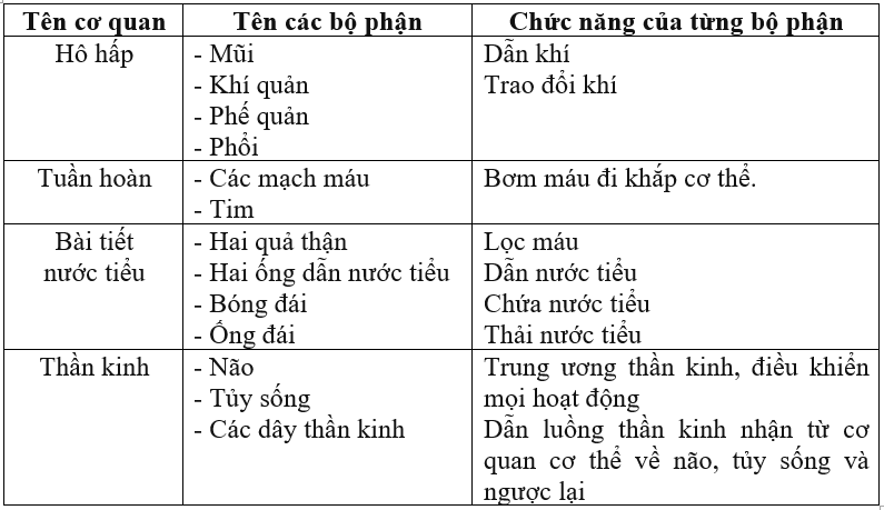 Giải vở bài tập môn Tự nhiên xã hội 3 bài 34-35: Ôn tập và kiểm tra học kì 1
