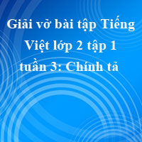 Giải vở bài tập Tiếng Việt lớp 2 tập 1 tuần 3: Chính tả