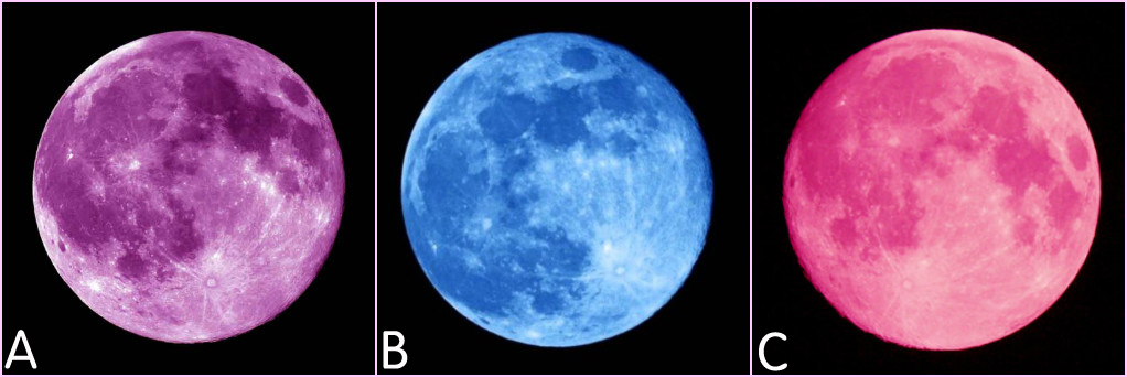 Dự đoán tương lai