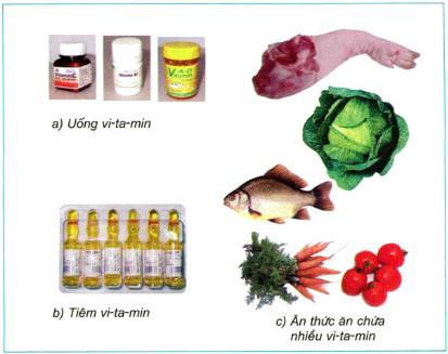 Giải SGK Khoa học 5 bài 11