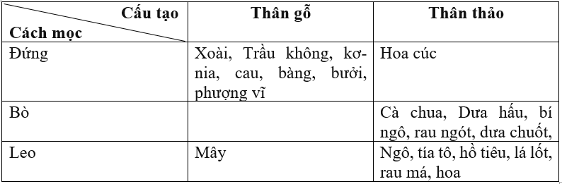 Giải vở bài tập môn Tự nhiên xã hội 3 bài 41: Thân cây
