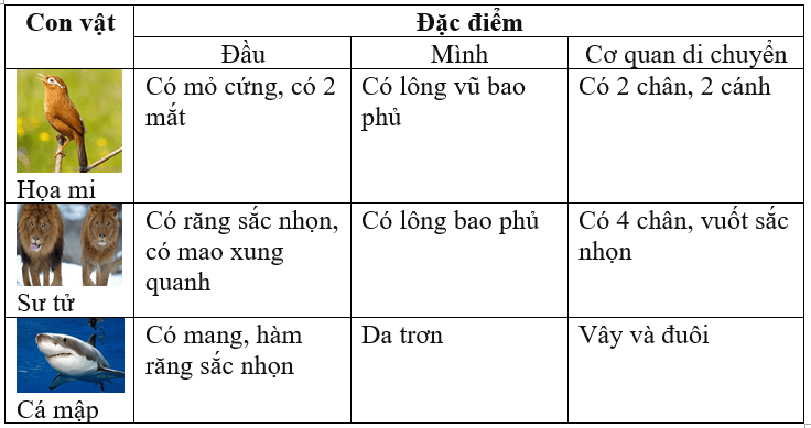 Giải vở bài tập môn Tự nhiên xã hội 3 bài 56-57: Thực hành: Đi thăm thiên nhiên
