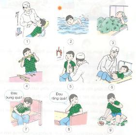 Giải bài tập môn Khoa học lớp 4