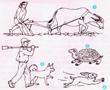 Giải vở bài tập Tiếng Việt lớp 2 tập 1 tuần 17