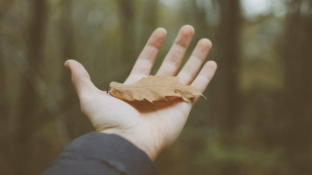 Trắc nghiệm tính cách 