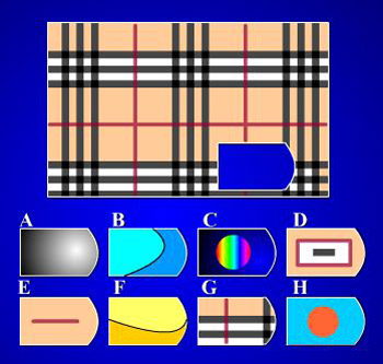 Trắc nghiệm phản xạ