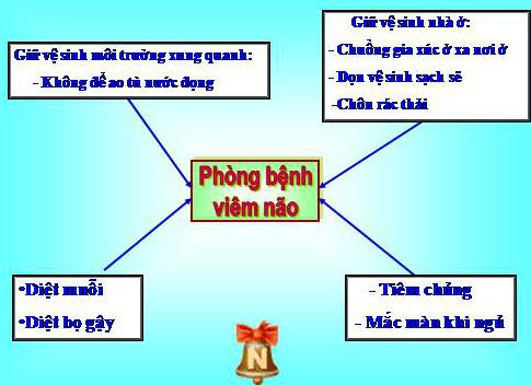 Giải bài tập SGK Khoa học 5 bài 20, 21