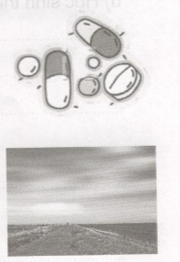 Hướng dẫn Giải vở bài tập Tiếng Việt lớp 2 tập 2 tuần 21