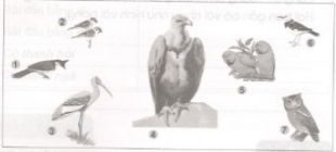 Giải vở bài tập Tiếng Việt 2 tuần 22: Luyện từ và câu