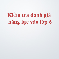 Những điều cần biết về kiểm tra đánh giá năng lực vào lớp 6