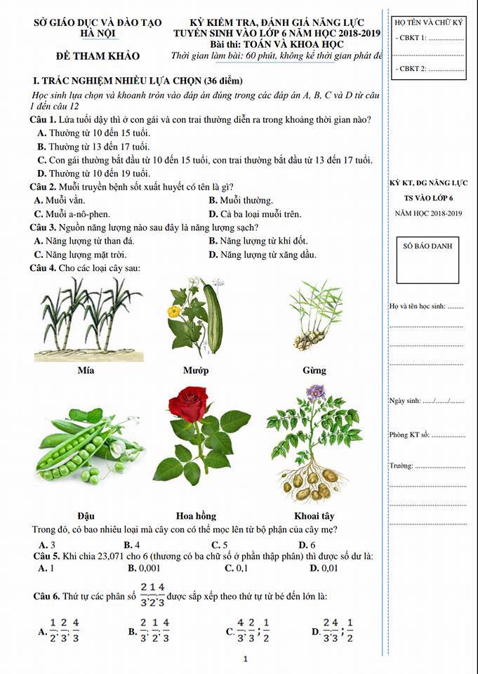 Đề thí đánh giá năng lực vào lớp 6