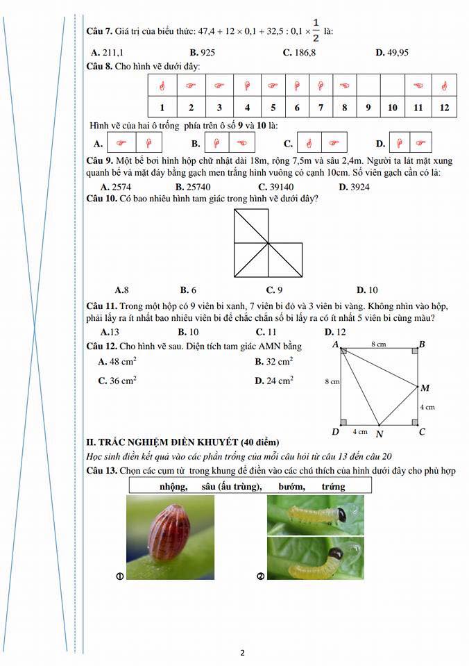 Đề thí đánh giá năng lực vào lớp 6