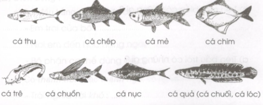 Giải vở bài tập Tiếng Việt lớp 2 tập 2 tuần 26