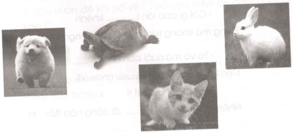 Giải vở bài tập Tiếng Việt lớp 2 tập 2 tuần 27: Ôn tập giữa học kì 2 - Tiết 9