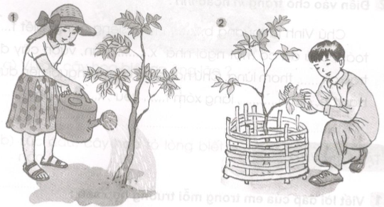 Giải vở bài tập Tiếng Việt lớp 2 tập 2 tuần 29: Luyện từ và câu