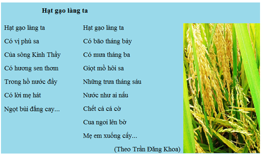 Giải bài tập SGK Tin học 6 bài 15: Chỉnh sửa văn bản