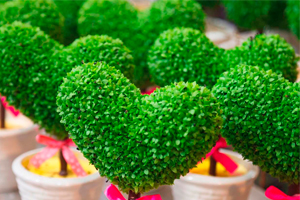 Trắc nghiệm tính cách 