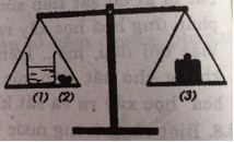 Giải bài tập SBT Hóa học lớp 8 bài 15: Định luật bảo toàn khối lượng