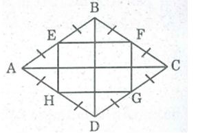 Bài tập môn Toán lớp 8