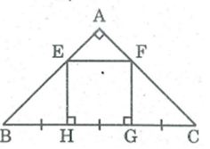 Bài tập môn Toán lớp 8